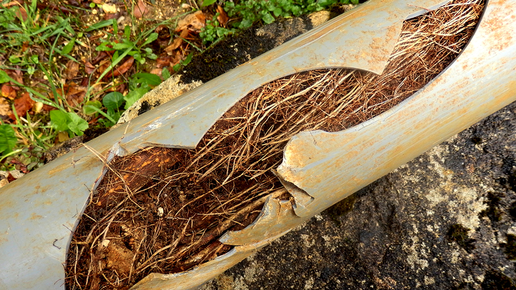 Sewer line Repair.